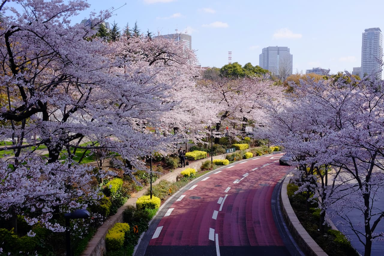 ⁨Tokyo Metropolitan Government Office⁩, ⁨Japan⁩